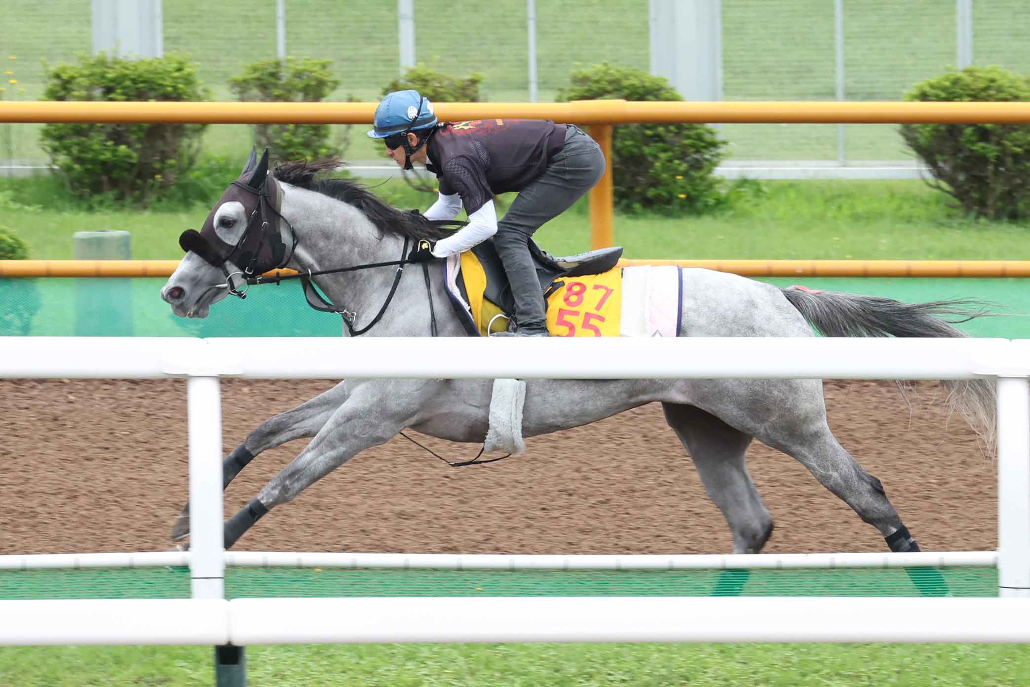 サウジカップ】パンサラッサが〝歴史的逃走劇〟完遂 1着賞金13億